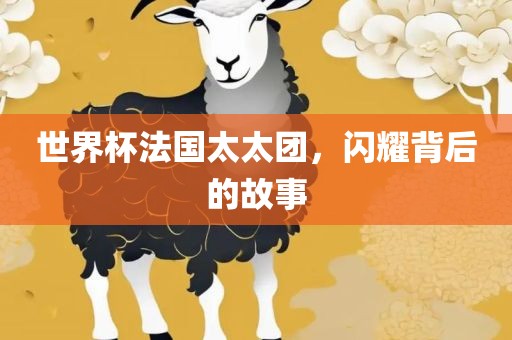 世界杯法国太太广西贺州市华昌新材料有限公司团，闪耀背后的故事