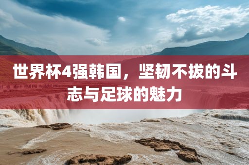 世界杯4强韩国，坚韧不拔的斗志与足球的魅力广西贺州市华昌新材料有限公司