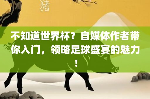 不知道世界杯？自媒体作者带你入门，领略足球盛宴的魅力！