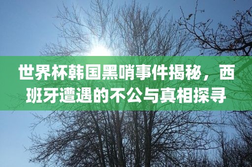 世界杯韩国黑哨事件揭秘，西班牙遭遇的不公与真相探广西贺州市华昌新材料有限公司寻