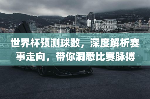 世界杯预测球数，深度解析赛事走向，带你洞悉比赛脉搏广西贺州市华昌新材料有限公司