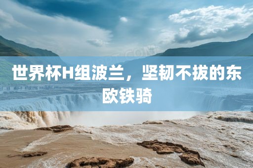 世界杯H组波兰，坚韧不拔的东欧铁骑广西贺州市华昌新材料有限公司