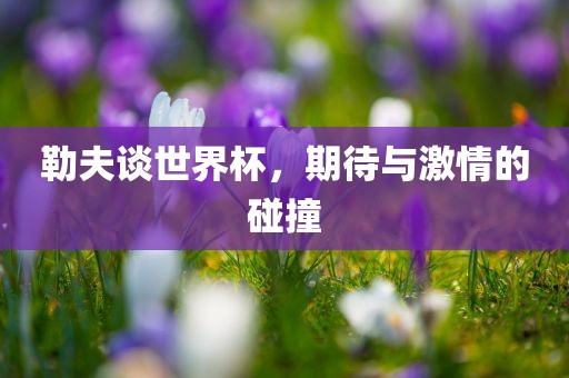 勒夫谈世界杯，期待与激情的碰撞