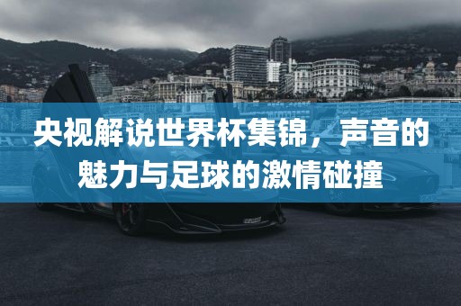 央视解说世界杯集锦，声音的魅力与足球的激情碰撞