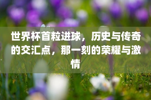 世界杯首粒进球，历史与传奇的交汇点，那一刻的荣耀与激情广西贺州市华昌新材料有限公司