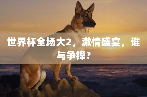 世界杯全场大2，激情盛宴，谁与争锋？广西贺州市华昌新材料有限公司