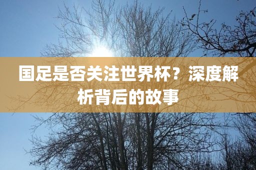 国足是否关注世界杯？深度解析背后的故事