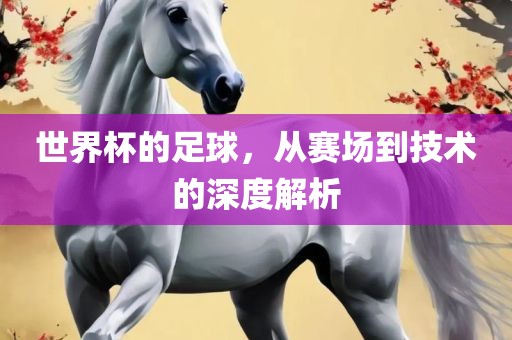 世界杯的足球，从赛场到技术的深度解析