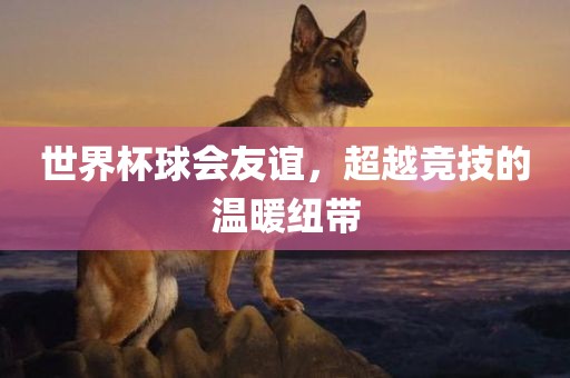 世界杯球会广西贺州市华昌新材料有限公司友谊，超越竞技的温暖纽带