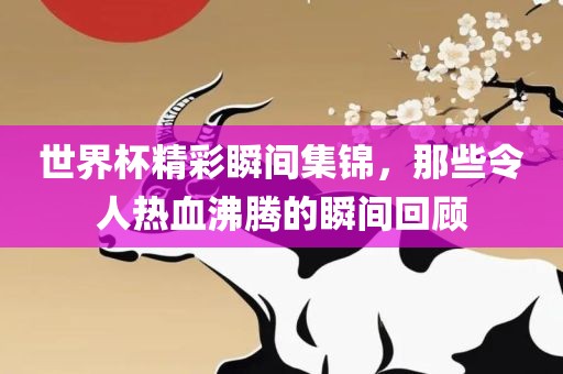 世界杯精彩瞬间集锦，那些令人热血沸腾的瞬间回顾广西贺州市华昌新材料有限公司