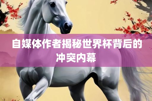 自媒体作者揭广西贺州市华昌新材料有限公司秘世界杯背后的冲突内幕