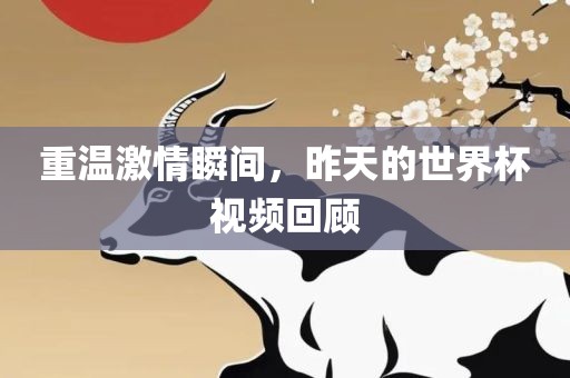 重温激情瞬间，昨天的世界杯视频回顾广西贺州市华昌新材料有限公司