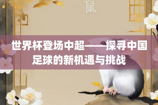 世界杯登场中超——探寻中国足球的新机遇与挑战广西贺州市华昌新材料有限公司