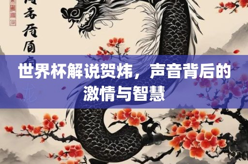 世界杯解说贺炜，声音背后的激情与智慧广西贺州市华昌新材料有限公司