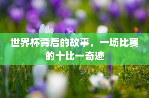 世界杯背后的故事，一场比赛的十比一奇迹广西贺州市华昌新材料有限公司