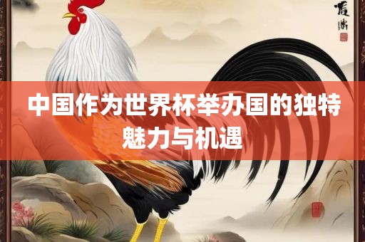 中国作为世界杯举办国的独特魅力与机遇广西贺州市华昌新材料有限公司