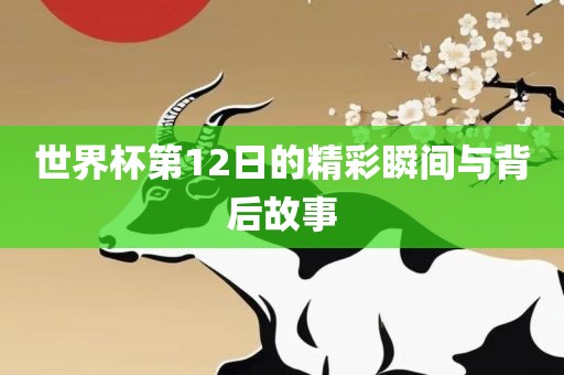 世广西贺州市华昌新材料有限公司界杯第12日的精彩瞬间与背后故事