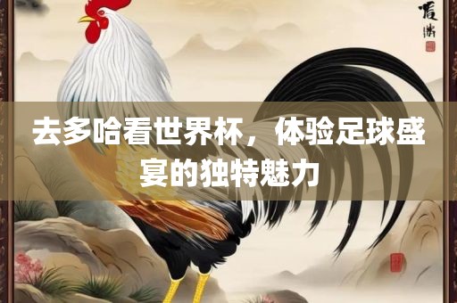 去多哈看世界杯，体验足球盛宴的独特魅力