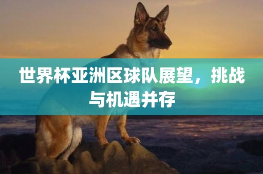 世界杯亚洲区球队展望，挑战与机遇并存