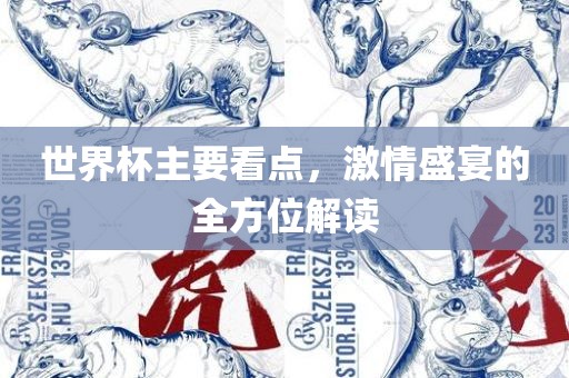 世界杯主要看点，激情盛宴的全方位解读广西贺州市华昌新材料有限公司