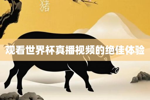 观看世界杯真播视频的绝佳体验广西贺州市华昌新材料有限公司