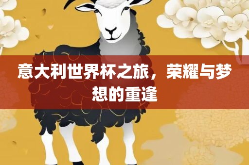 意大利世界杯之旅，荣耀与梦想的重逢广西贺州市华昌新材料有限公司