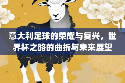 意大利足球的荣耀与复兴，世界杯之路的曲折与未来展望广西贺州市华昌新材料有限公司