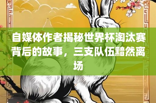 自媒体作者揭秘世界杯淘汰赛背后的故事，三支队伍黯然离场