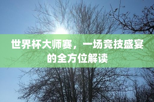 世界杯大师赛，一场竞技盛宴的全方位解读广西贺州市华昌新材料有限公司