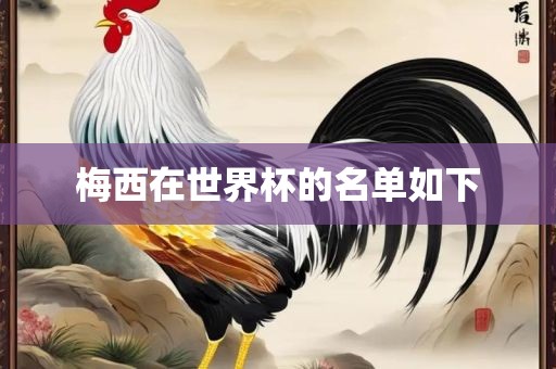 梅西在世界杯的名单如下