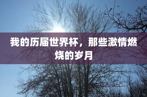 我的历届世界杯，那些激情燃烧的岁月