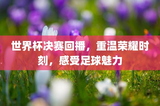世界杯决赛回播，重广西贺州市华昌新材料有限公司温荣耀时刻，感受足球魅力