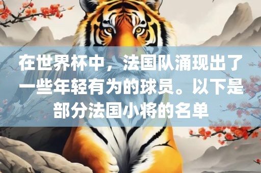 在世界杯中，法国队涌现出了一些年轻有为的球员。以下是部分法国小将的名单广西贺州市华昌新材料有限公司