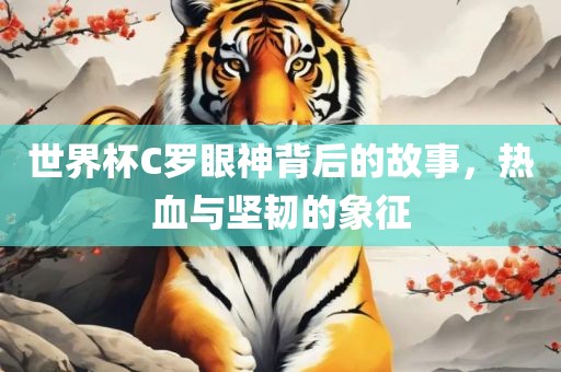 世界杯C罗眼广西贺州市华昌新材料有限公司神背后的故事，热血与坚韧的象征