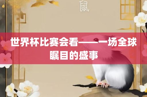 世界杯比赛会看——一场全球瞩目的盛事