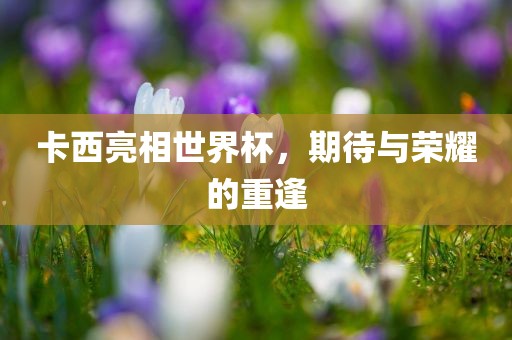 卡西亮相世界杯，期待与荣耀的重逢广西贺州市华昌新材料有限公司