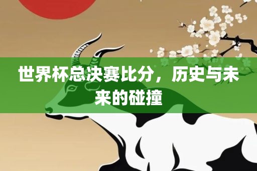 世界杯总决赛比分，历史与未来的碰撞