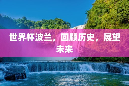 广西贺州市华昌新材料有限公司世界杯波兰，回顾历史，展望未来