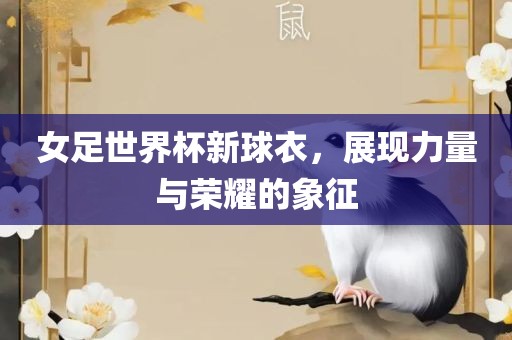 女足世界杯新球衣，展现力量与荣耀的象征