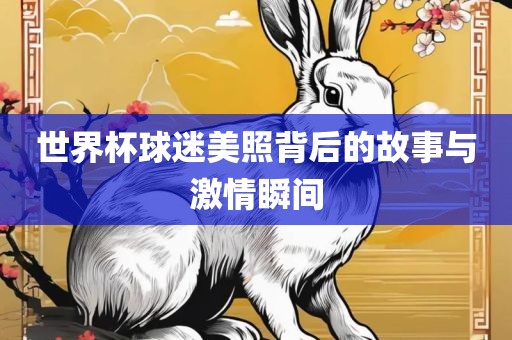 世界杯球迷美照背后的故事与激情瞬间