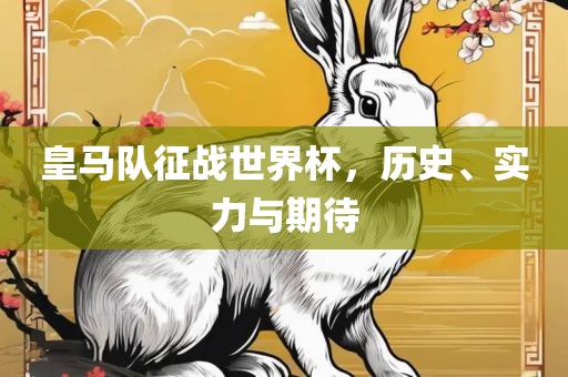 皇马队征战世界杯，历史、实力与期待