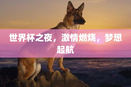 世界杯之夜，激情燃烧，梦想起航