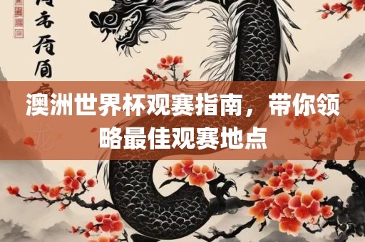 澳洲世界杯观赛指南，带你领略最佳观赛地点