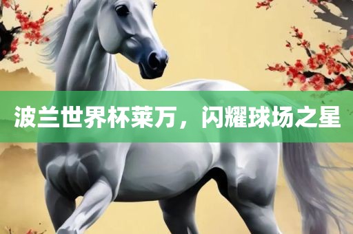 波兰世界杯莱万，闪耀球场之星广西贺州市华昌新材料有限公司