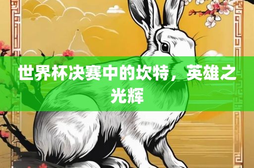 世界杯决赛中的坎特，英雄之光辉