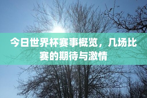 今日世界杯赛事概览，几场比赛的期待与激情