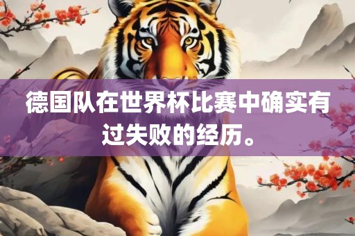 德国队