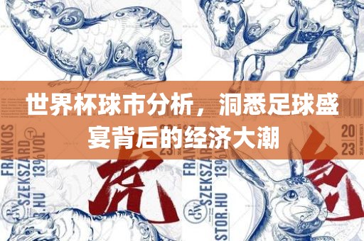 世界杯球市分析，洞悉足球盛宴背后的经济大潮广西贺州市华昌新材料有限公司