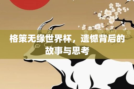 格策无缘世界杯，遗憾背后的故事与思考