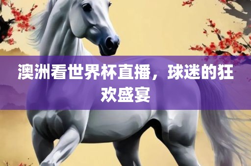 澳洲看世界杯直播，球迷的狂欢盛宴